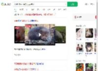 夫妻吃来偷柑橘的竹鼠后肺炎_360搜索