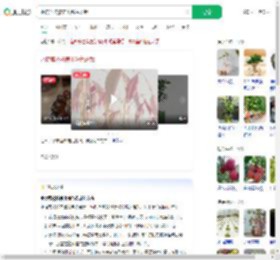 水培荔枝核养出粉色盆栽_360搜索