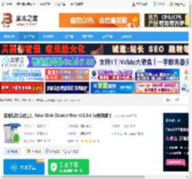 Wise Disk Cleaner下载 磁盘垃圾清理工具 Wise Disk Cleaner free v11.0.6 绿色特别版 下载-脚本之家