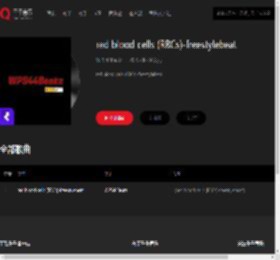 千千音乐